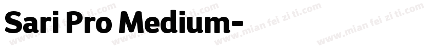 Sari Pro Medium字体转换